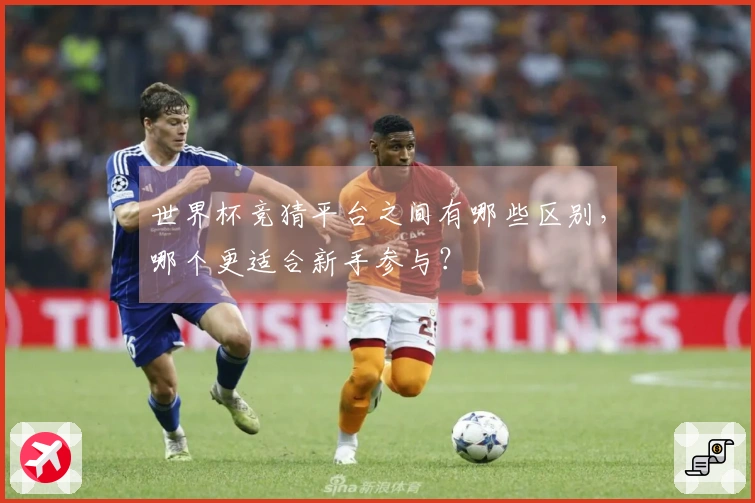 世界杯竞猜平台之间有哪些区别，哪个更适合新手参与？
