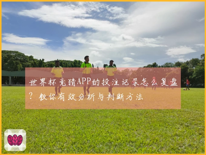 世界杯竞猜APP的投注记录怎么复盘？教你有效分析与判断方法