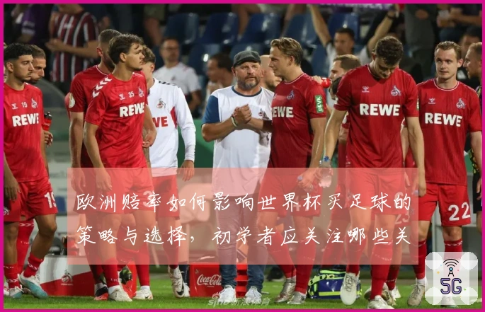 欧洲赔率如何影响世界杯买足球的策略与选择，初学者应关注哪些关键点？