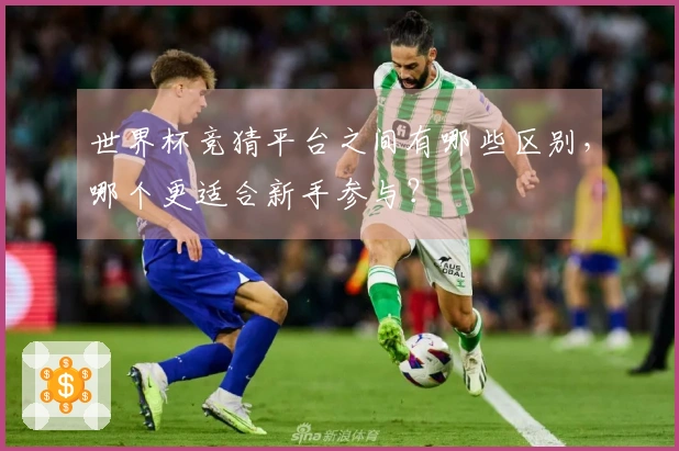 世界杯竞猜平台之间有哪些区别，哪个更适合新手参与？